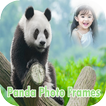 Panda Photo Frames|Giant Panda
