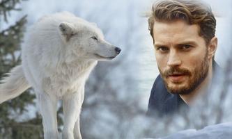 Wolf Photo Frames 截图 3