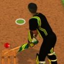 APK Cricket Batter Challenge