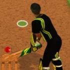 Cricket Batter Challenge icon