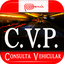 Consulta Vehicular Peru aplikacja