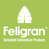 Feligran biểu tượng