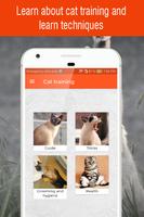 cat training guide app poster