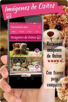 Imagenes de ositos con frases de amor, amistad App poster