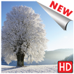 Images hiver neige hd paysage fond d'écran gratuit