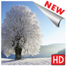 Images hiver neige hd paysage fond d'écran gratuit APK