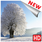 Images hiver icon
