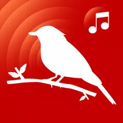 download Sonneries oiseaux et sons APK