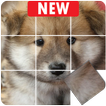 Dogs puzzle game, slide puzzle