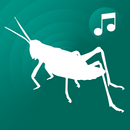tonos de grillos para celular APK