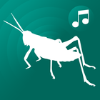 ringtones crickets for phone 圖標