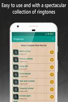 ringtones crickets for phone 截圖 1