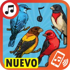 tonos de pajaros para celular APK download