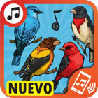 tonos de pajaros para celular icon