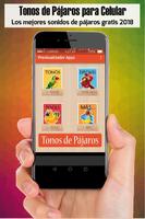 tonos de pajaros para celular Poster