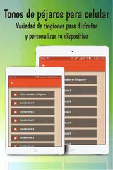 tonos de pajaros para celular APK 下載