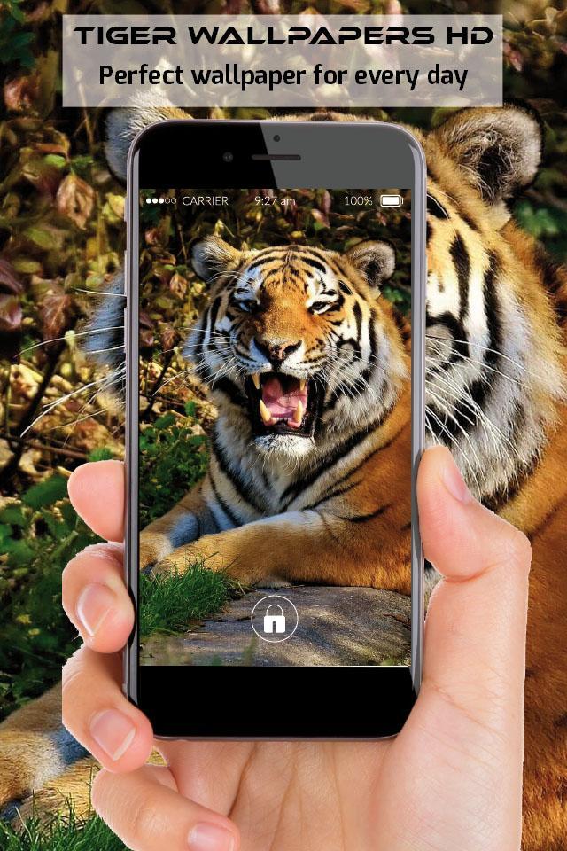 Tiger Wallpapers Free Full Hd Images For Phone Für Android
