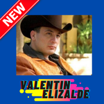 Musica de Valentin Elizalde icon