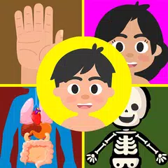 Body Parts for Kids APK download