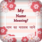 My Name Meaning آئیکن
