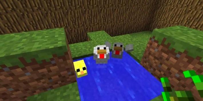 Baby Animals Model Mod For Android Apk Download
