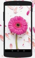 Flower Wallpapers Cartaz