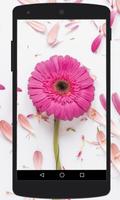 Flower Wallpapers پوسٹر