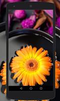 Flower Wallpapers imagem de tela 1