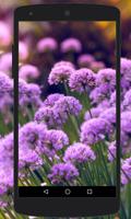 Flower Wallpapers imagem de tela 3