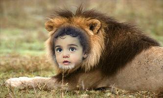 Loin Photo Frames Cartaz