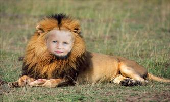 Loin Photo Frames imagem de tela 2