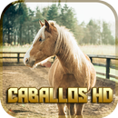 Imagenes de caballos para fondo de pantalla APK