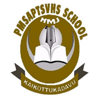 PMSAPTS VHSS 图标