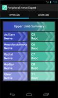 Peripheral Nerve Expert Poster