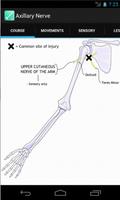 برنامه‌نما Peripheral Nerve Expert عکس از صفحه