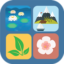 4 photos 1 estimation APK