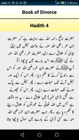 Sahih Muslim:Authentic Book For Muslims In Urdu screenshot 1