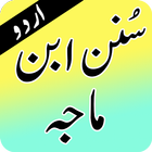 Complete Sunan Ibn Majah Urdu: Arabic & Urdu आइकन