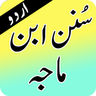 Complete Sunan Ibn Majah Urdu: Arabic & Urdu ícone