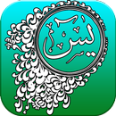 Surah Yaseen:With offline Audio & 16 line Pages APK