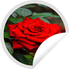 Figurinhas de Rosas Vermelhas ícone