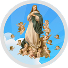 NS Imaculada Conceição icône