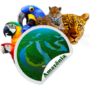 Figurinhas Todos pela Amazônia APK