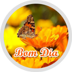 Figurinhas de Bom Dia Lindas - WAStickerApps