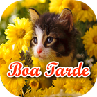 Figurinhas Boa Tarde e Gratidão - WAStickerApps ikona