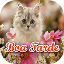 Figurinhas Boa Tarde Fofinhas  APK