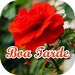 Figurinhas de Boa Tarde Lindas - WAStickerApps