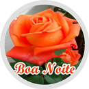 Figurinhas Boa Noite com Fé APK