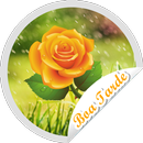 Figurinhas de Boa Tarde Flores APK