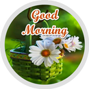 Good Morning Stickers APK